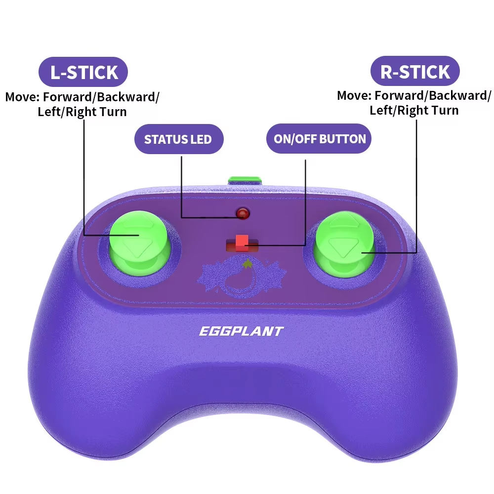 NG Y03 Eggplant RC Car Toy