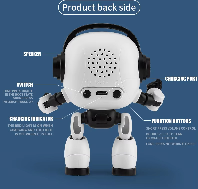 NG F09 Smart RC Robot Toy for Kids Wholesale